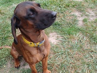 Łowisko Ostoja 2025 - 3